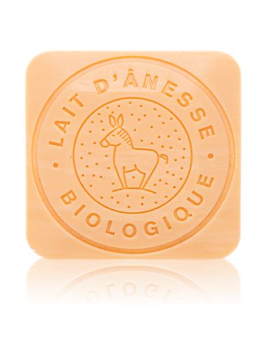 SAVON AU LAIT D'ÂNESSE BIO MELON